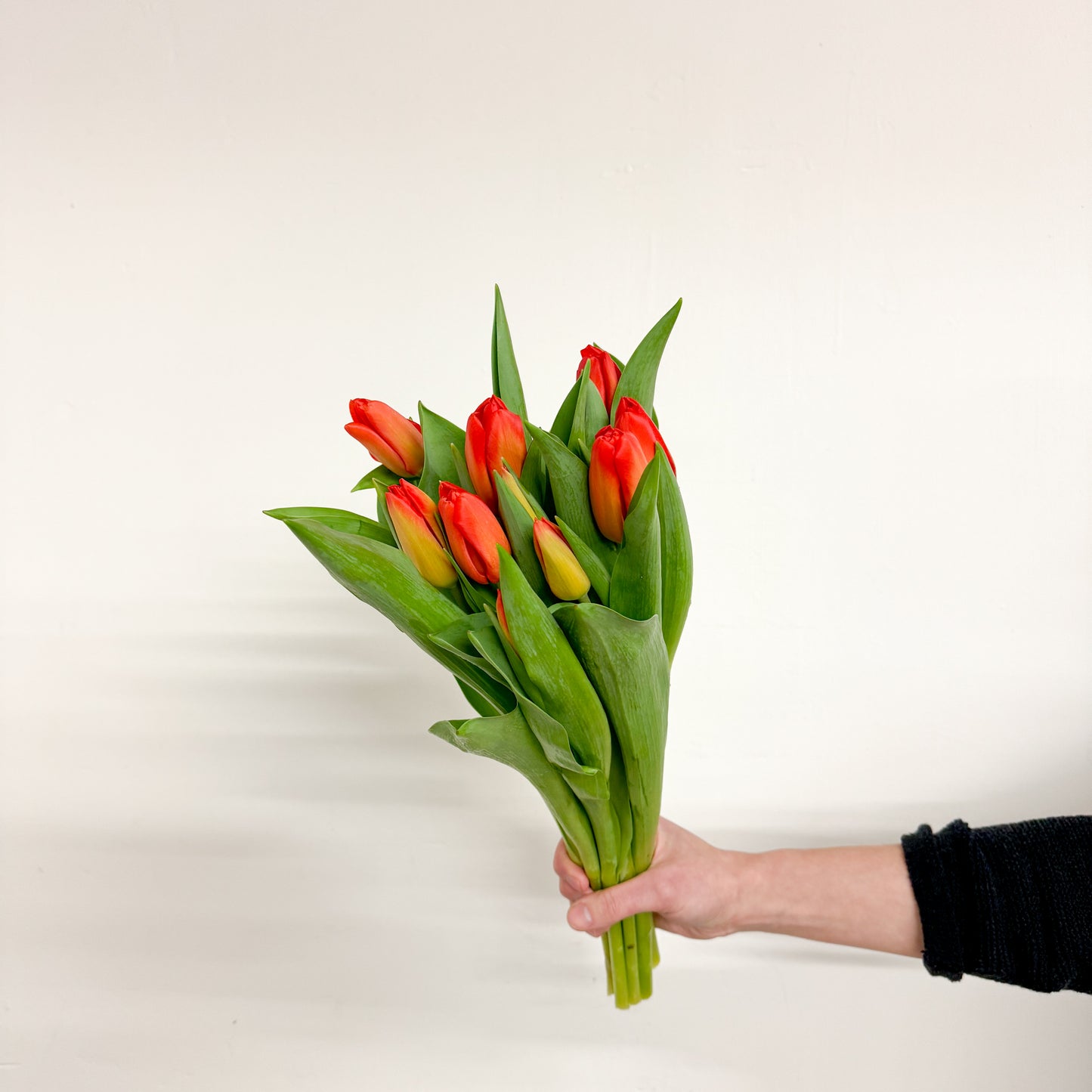 Tulip Bunch