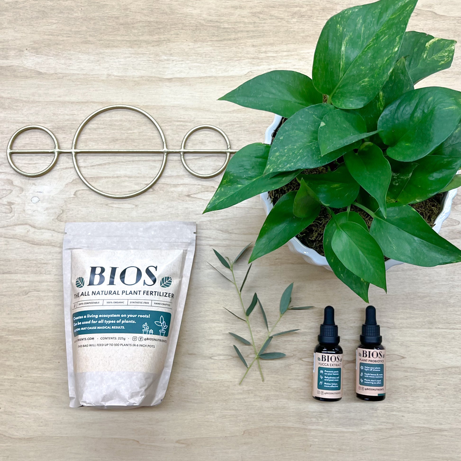 bios all natural plant fertilizer GROW Gift Basket – Riverside Flowers & Gifts