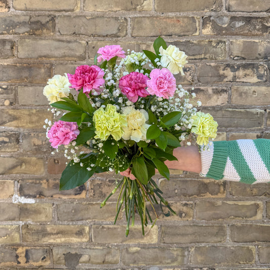 Mother's Day Carnations