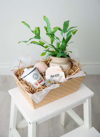 Gift Basket with Plant